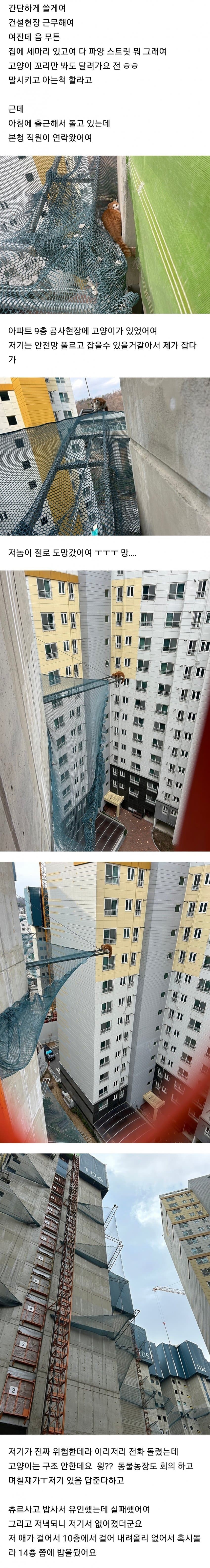 SPORTS SOS | (혐) 고양이한테 물린 캣맘 확인 필수