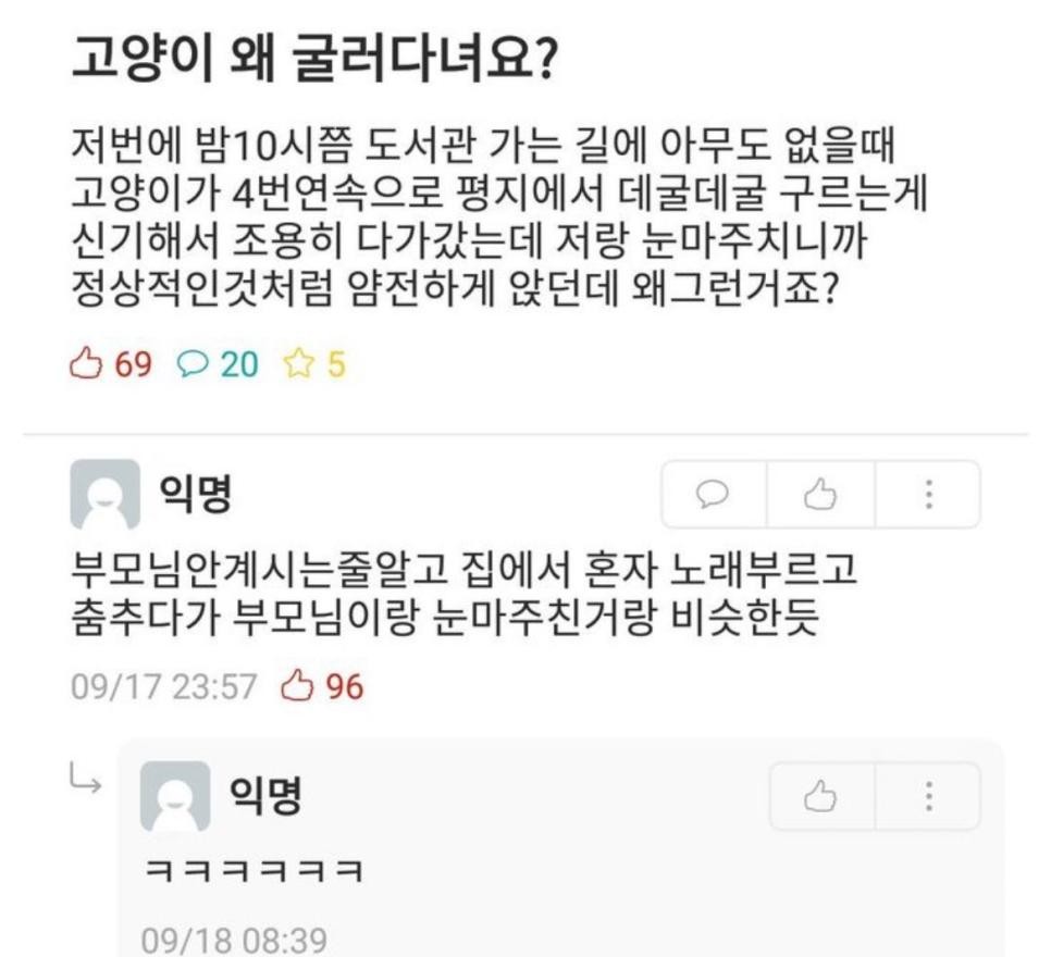 SPORTS SOS | 고양이 왜 굴러다녀요? 정보