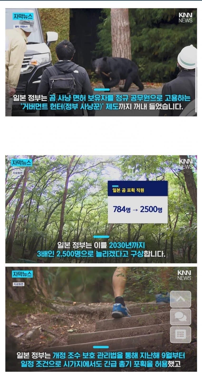 SPORTS SOS | 일본 신규 직업 '헌터' 등장 (필독)