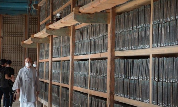 SPORTS SOS | 불법 자료 많은 곳 공유함 확인 필수