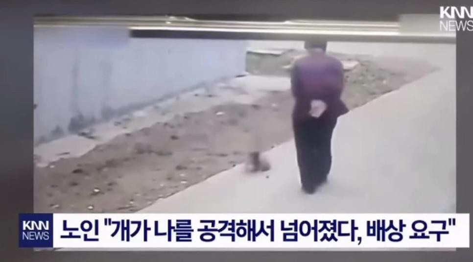 SPORTS SOS | 강아지 발로차려다 넘어진 노인(중국임) [속보]