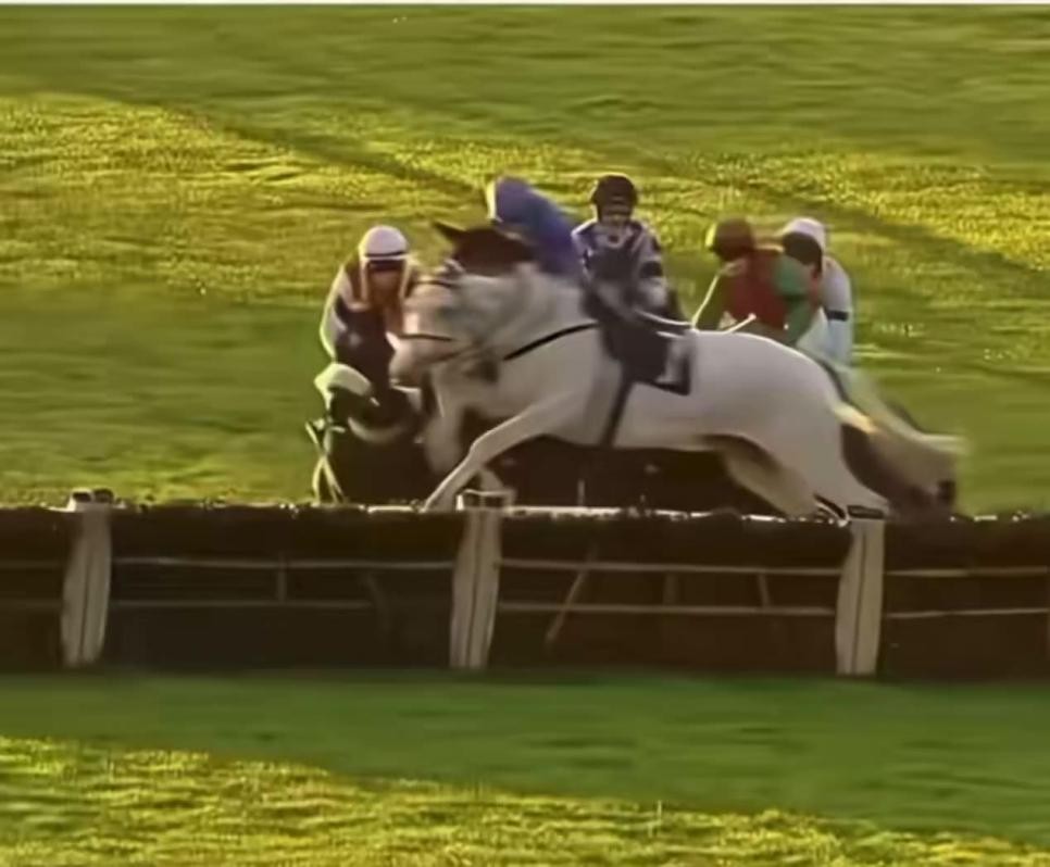 SPORTS SOS | 레이싱중 기수가 떨어지자 분탕 치는 말 ㅋㅋㅋ 확인 필수