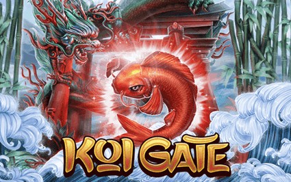 SPORTS SOS | KOI GATE 정보