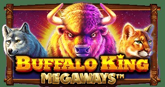 SPORTS SOS | 버팔로 킹 메가웨이즈 / Buffalo King Megaways 확인 필수